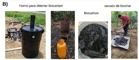 A collage of different types of bio carbon

Description automatically generated