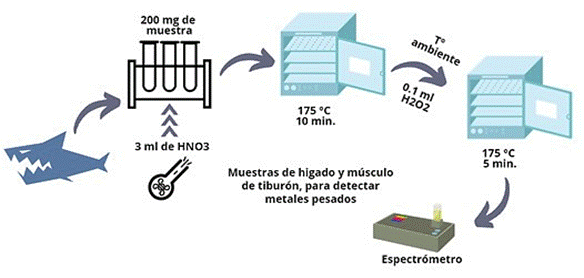 Diagrama

Descripción generada automáticamente