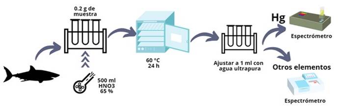 Diagrama

Descripción generada automáticamente