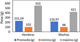 Gráfico, Gráfico de barras, Gráfico en cascada

Descripción generada automáticamente