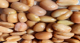 Imagen que contiene comida, pasta, platillo, salsa

El contenido generado por IA puede ser incorrecto.