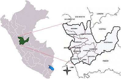 Mapa

Descripción generada automáticamente