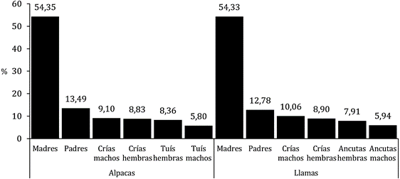 Gráfico

Descripción generada automáticamente