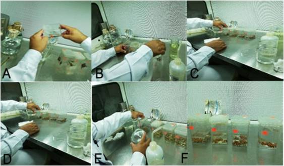 Imagen que contiene interior, artículos, tabla, preparando

Descripción generada automáticamente
