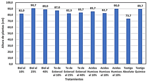 Gráfico, Gráfico de barras

Descripción generada automáticamente