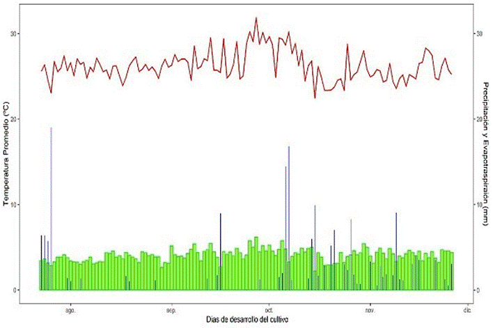 Gráfico, Histograma

Descripción generada automáticamente
