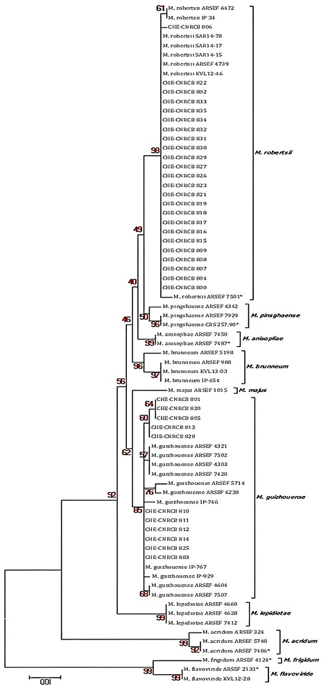 Diagrama, Esquemático

Descripción generada automáticamente