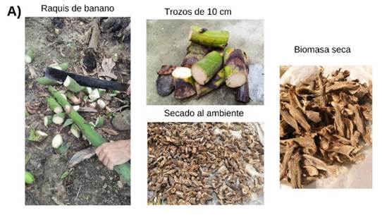 A collage of different types of food

Description automatically generated