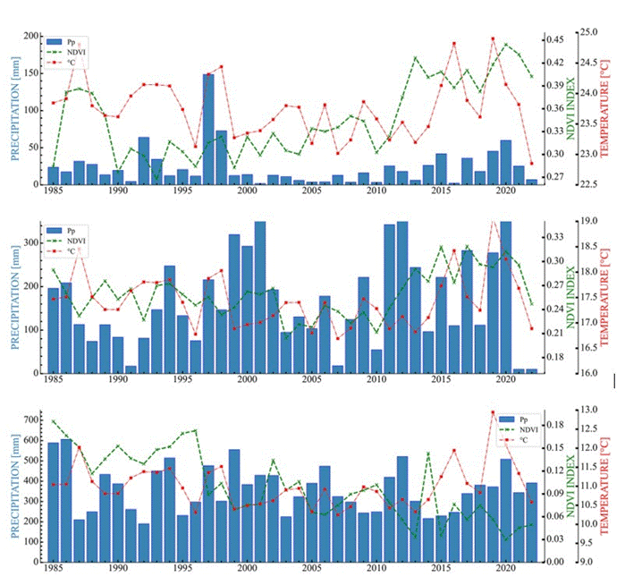 Gráfico

Descripción generada automáticamente