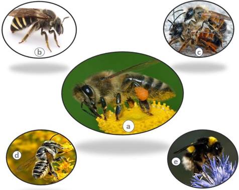 Dibujo de la tierra desde el espacio

El contenido generado por IA puede ser incorrecto.