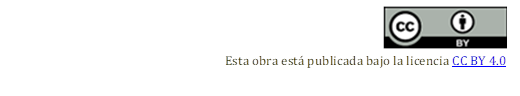   

Esta obra está publicada bajo la licencia CC BY 4.0

