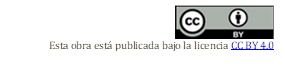  
Esta obra está publicada bajo la licencia CC BY 4.0

