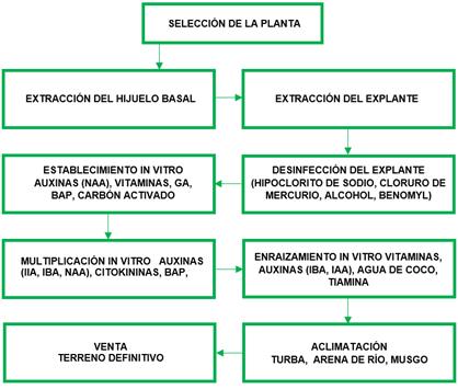 Diagrama, Esquemático

El contenido generado por IA puede ser incorrecto.