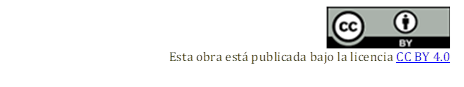   
Esta obra está publicada bajo la licencia CC BY 4.0

