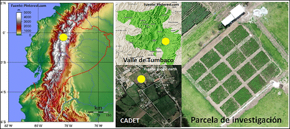 Mapa

Descripción generada automáticamente