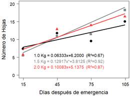 Gráfico, Gráfico de dispersión

Descripción generada automáticamente