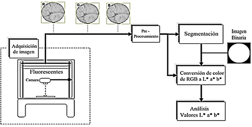 Diagrama

Descripción generada automáticamente