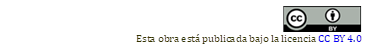   
Esta obra está publicada bajo la licencia CC BY 4.0

