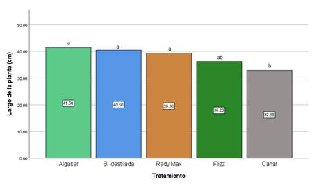 Gráfico, Gráfico de barras

Descripción generada automáticamente