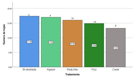 Gráfico, Gráfico de barras

Descripción generada automáticamente
