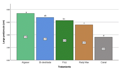 Gráfico, Gráfico de barras

Descripción generada automáticamente