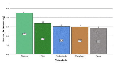 Gráfico, Gráfico de barras

Descripción generada automáticamente