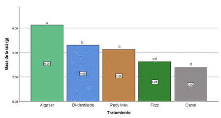 Gráfico, Gráfico de barras

Descripción generada automáticamente