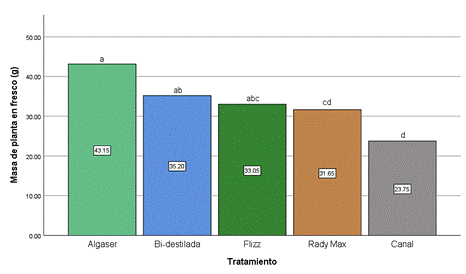 Gráfico, Gráfico de barras

Descripción generada automáticamente