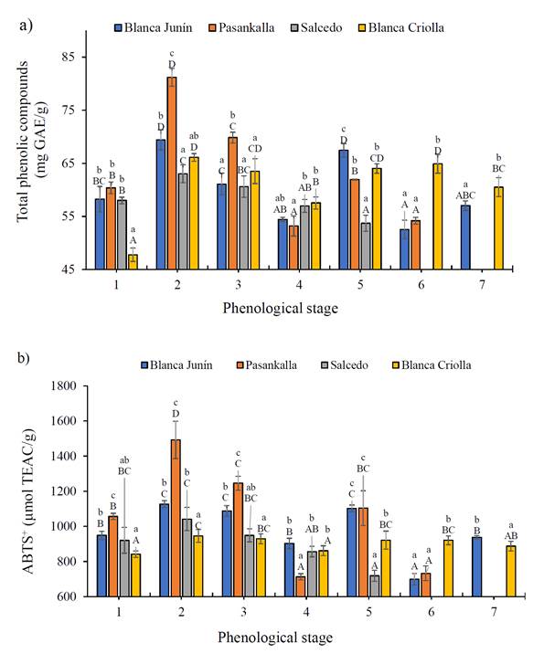 Gráfico, Gráfico de barras

Descripción generada automáticamente
