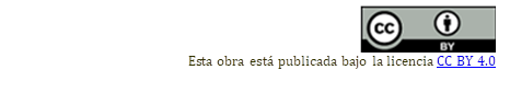   
Esta obra está publicada bajo la licencia CC BY 4.0

