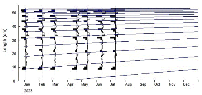Gráfico

El contenido generado por IA puede ser incorrecto.