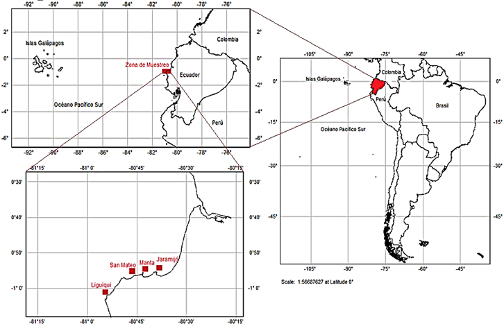 Imagen que contiene Gráfico

Descripción generada automáticamente