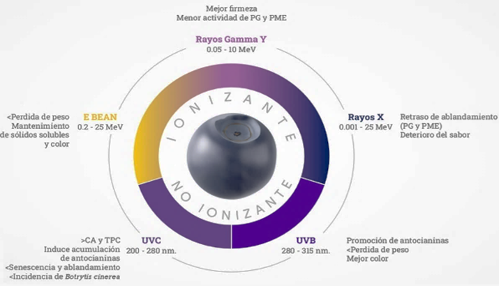 Diagrama

El contenido generado por IA puede ser incorrecto.