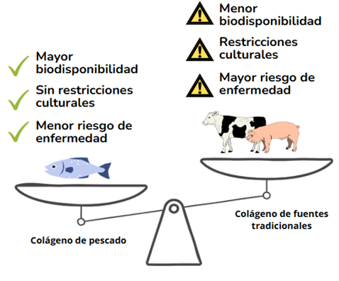 Diagrama

El contenido generado por IA puede ser incorrecto.