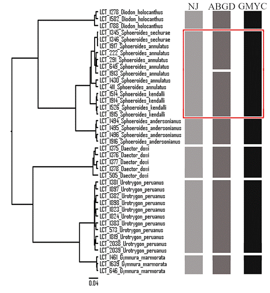 Combinado NJ-ABGD-GMYC Peces venenosos SIN RYPTICUS