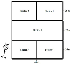 Chart

Description automatically generated with low confidence