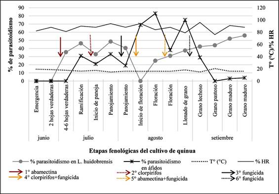 Chart, diagram

Description automatically generated