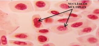 Imagen que contiene Patrón de fondo

Descripción generada automáticamente