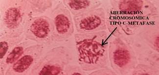 Un dibujo de una persona

Descripción generada automáticamente con confianza baja