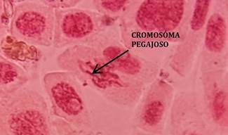Mapa

Descripción generada automáticamente