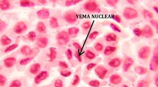 Diagrama

Descripción generada automáticamente
