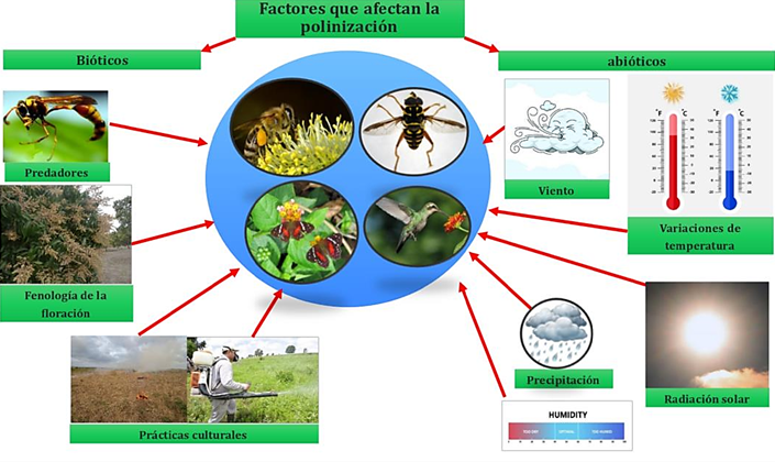 Diagrama

El contenido generado por IA puede ser incorrecto.