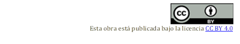   
Esta obra está publicada bajo la licencia CC BY 4.0

