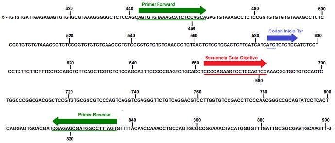 Escala de tiempo
El contenido generado por IA puede ser incorrecto.