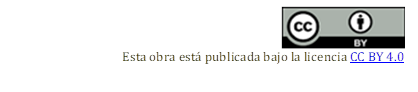  
Esta obra está publicada bajo la licencia CC BY 4.0

