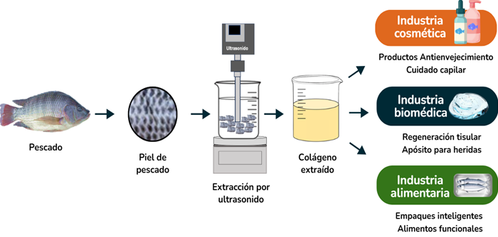 Diagrama

El contenido generado por IA puede ser incorrecto.